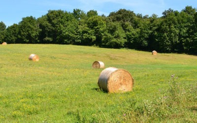 NOS ACTIONS DÉJÀ RÉALISÉES