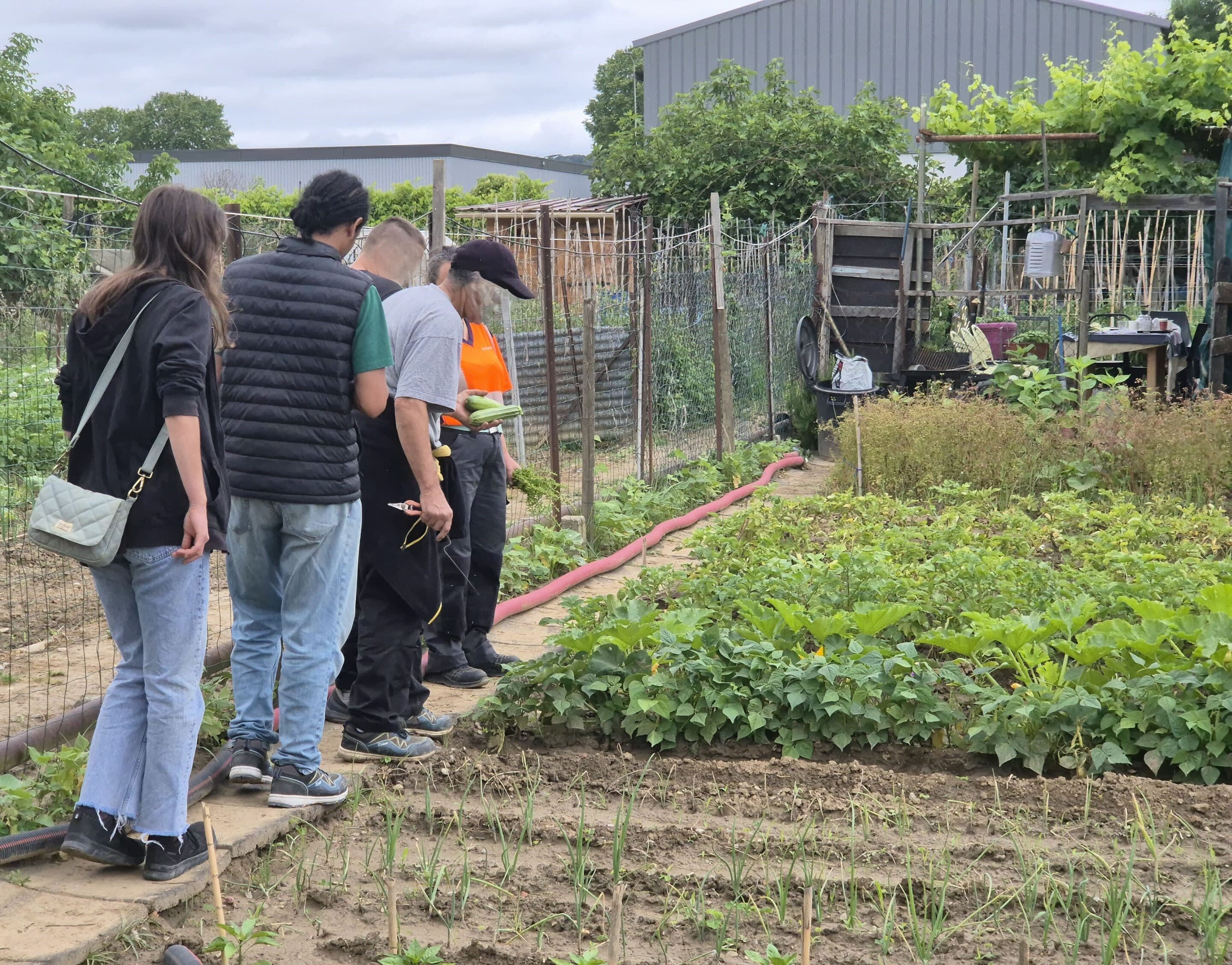 Visite du jardin d'Abdellah dans le cadre des ateliers avec la Maison Paysanne de l'Aude et le Parchemin, 2025