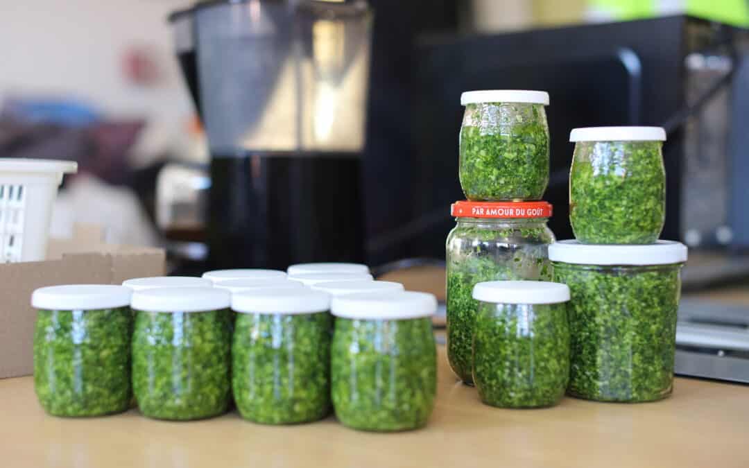 Bilan d&rsquo;un cycle d&rsquo;ateliers co-construit avec des personnes en insertion