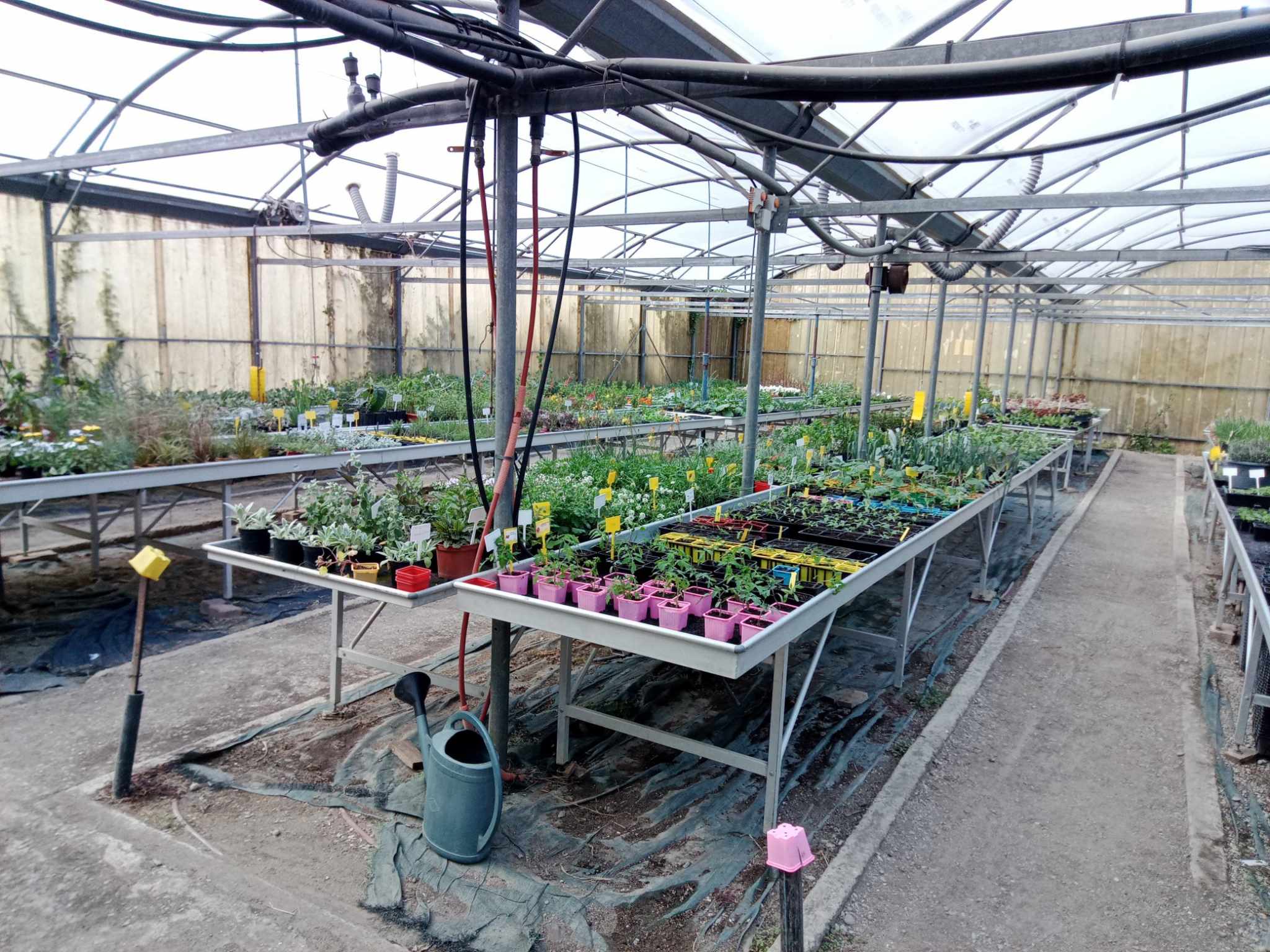 photo espace test horticole charlemagne Graines de Paysans - Lezignan Corbières