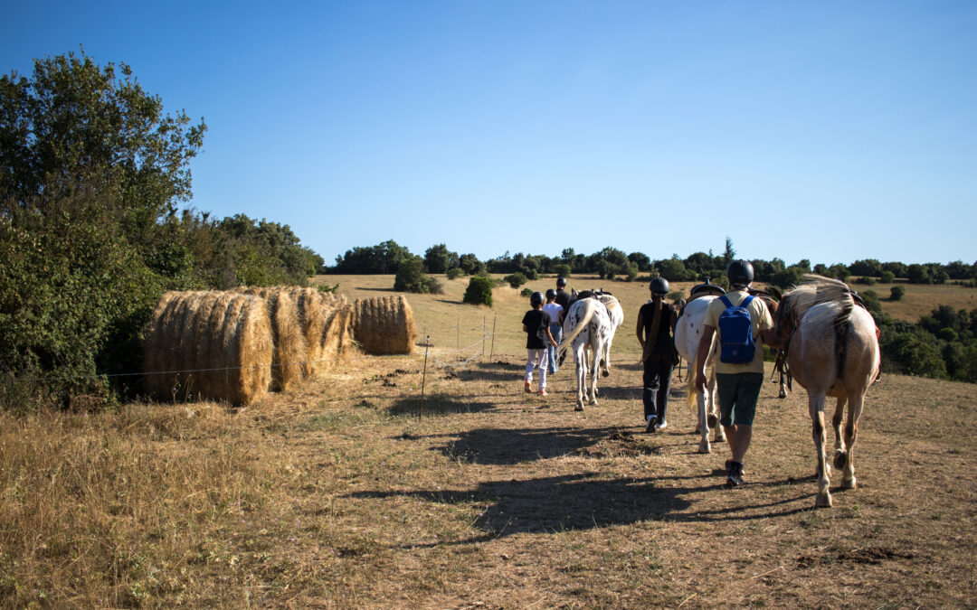 Formations – Diversification et agrotourisme
