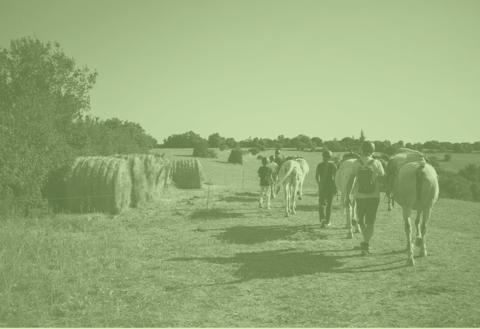 Balade cheval @lucas santucci